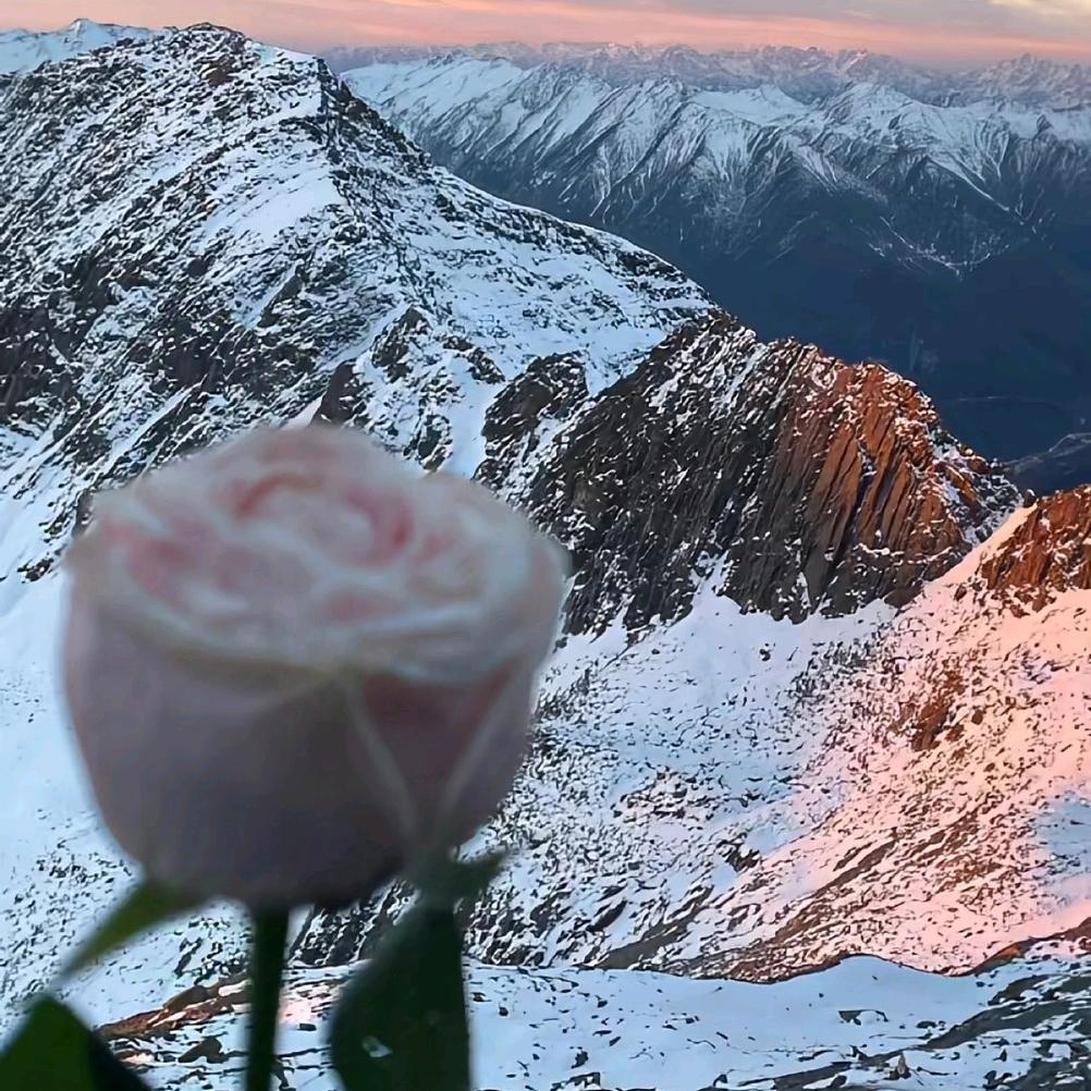 宛伊健康馆(贺州碧桂园凯旋城店)