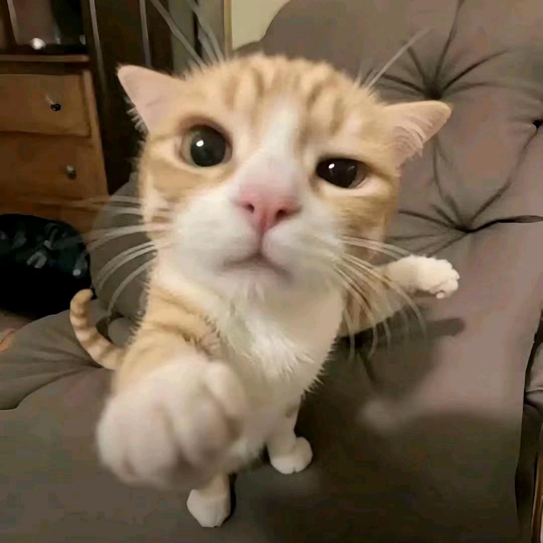 ，，，