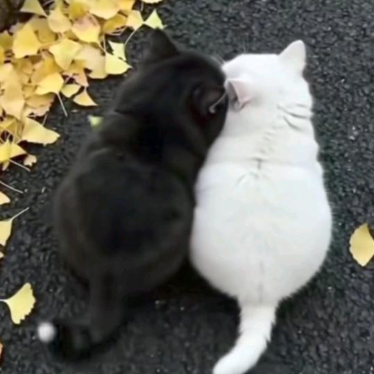 嘦，，，姕