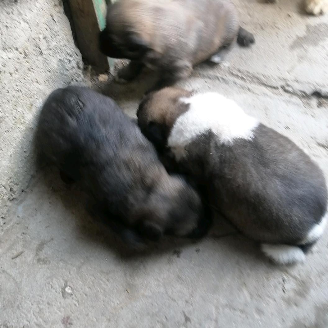 ღ᭄💞一切꧔ꦿ᭄ 随缘ღ᭄ 💕