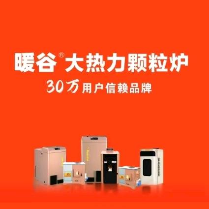 保定定兴暖谷颗粒炉