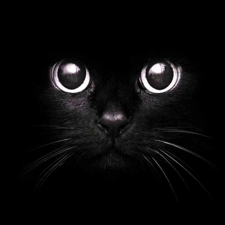 💥初开便胜🚬