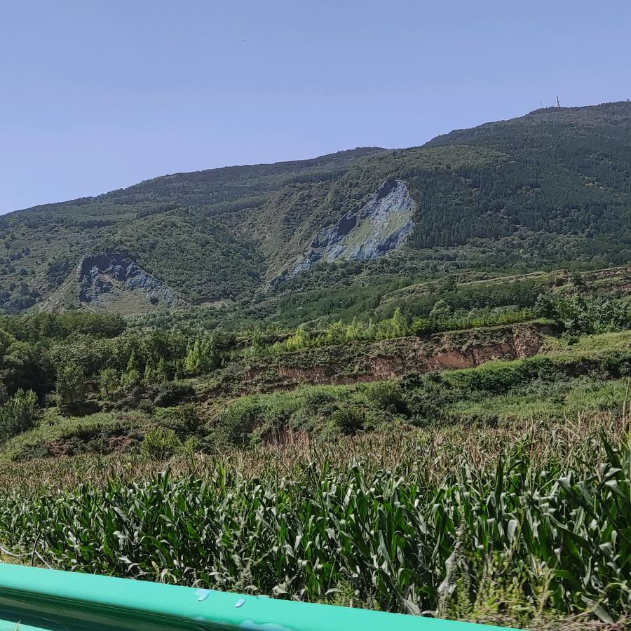 北飞燕