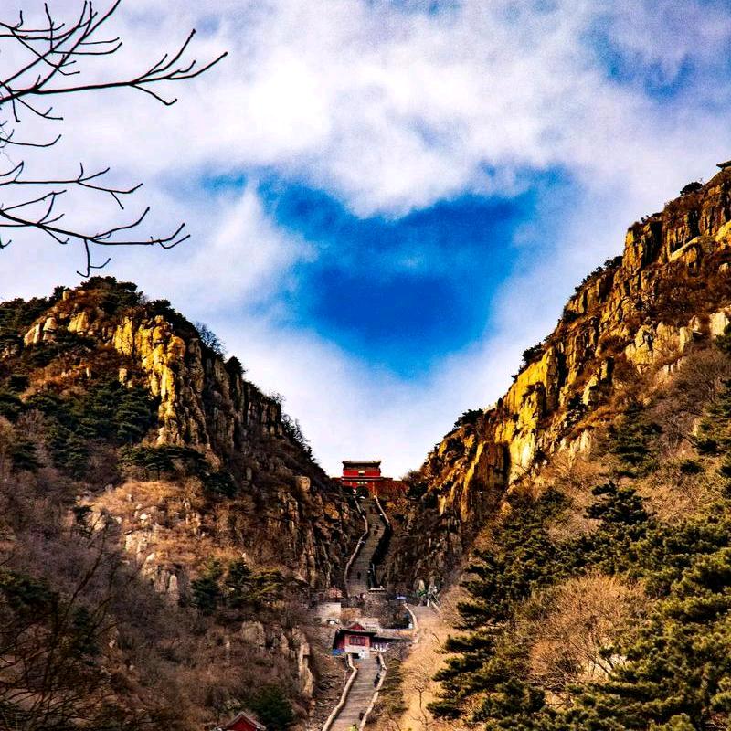 泰山好运