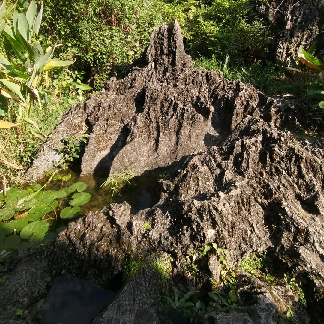 三味石头
