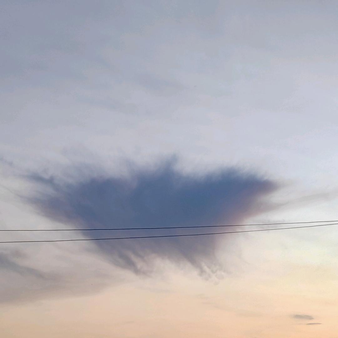 下凡遛弯的掌柜哥哥¹²⁹⁵⁵