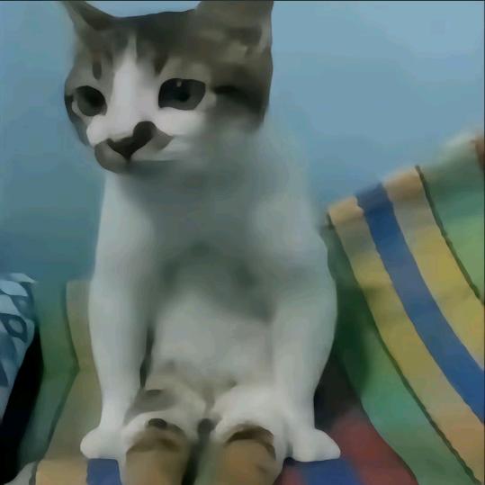 一只暴龙兽