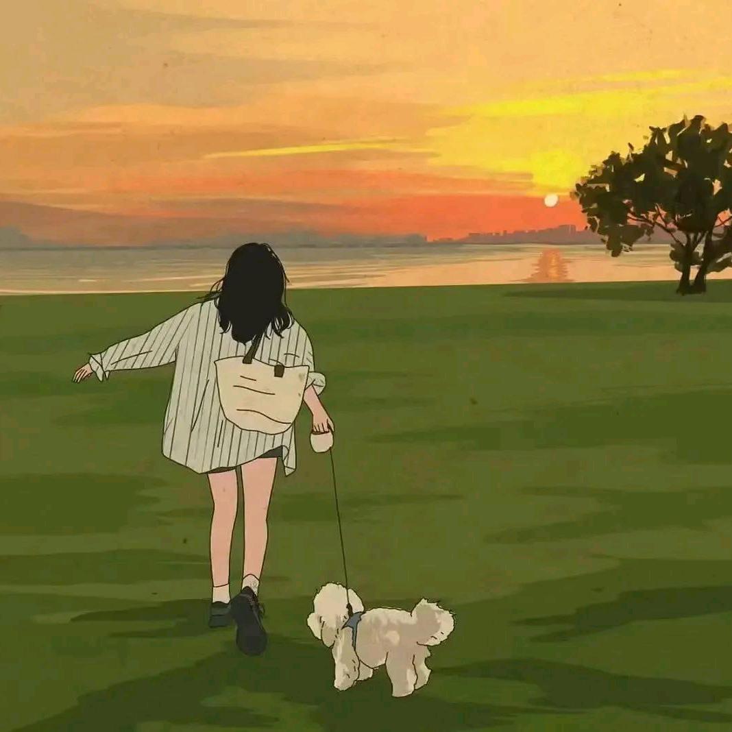 。。。。
