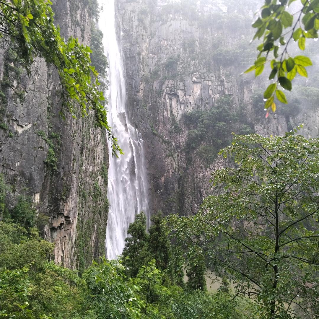 (ღ♡吳可奈何‿♡ღ)