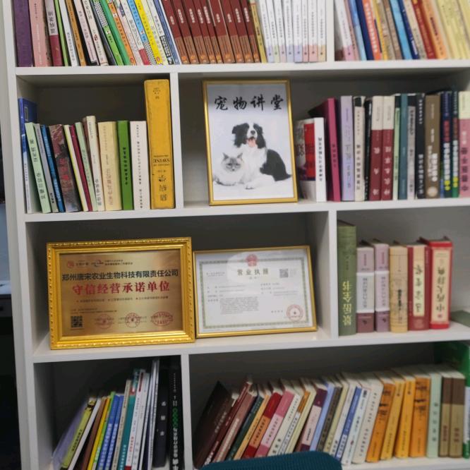 侯老师   宠物工作室