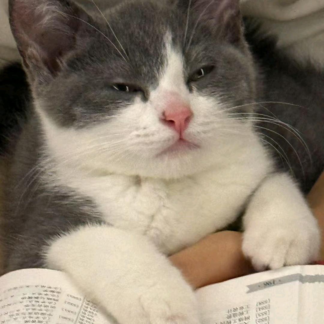 Tom 🍬