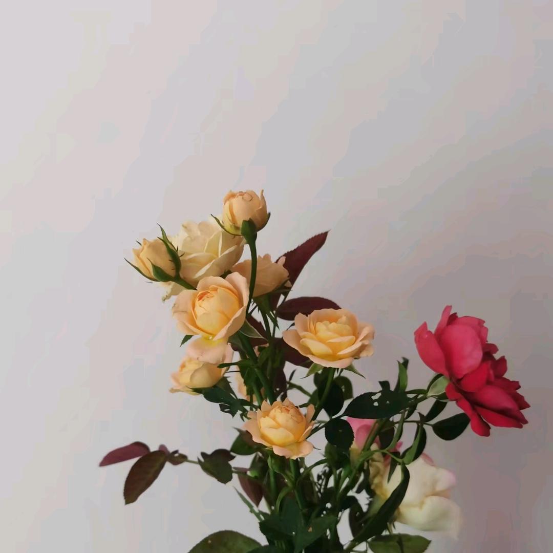 一名已婚妇女很无聊