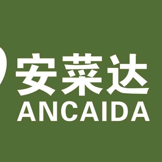 安菜达大葱基地