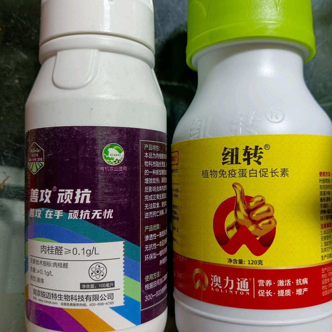 庞大姐农资批发两宝奶奶