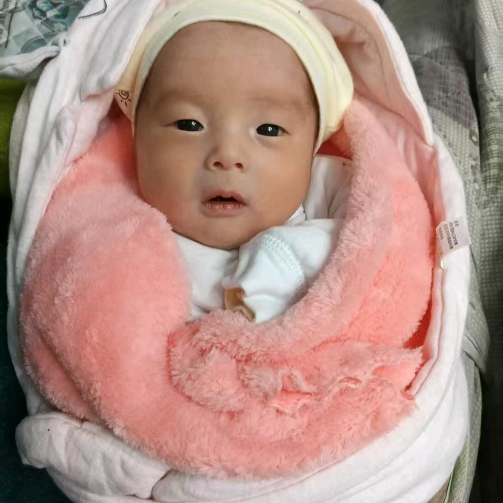 晓峰