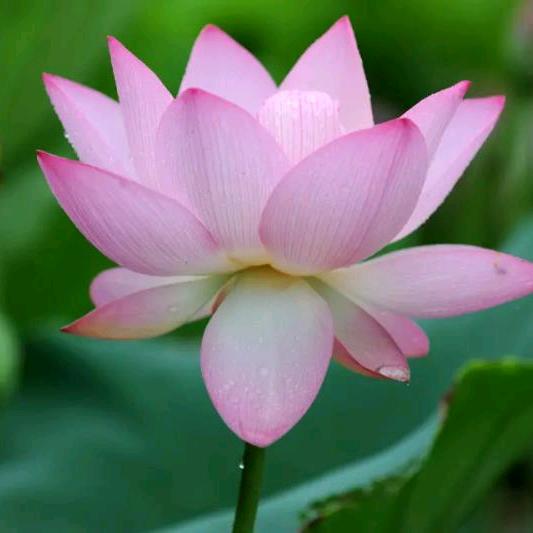 云帆-蒙自源团购福利官