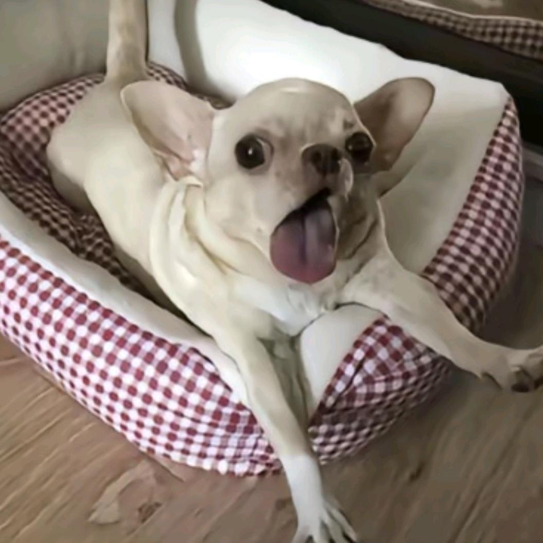 命苦是一种信仰