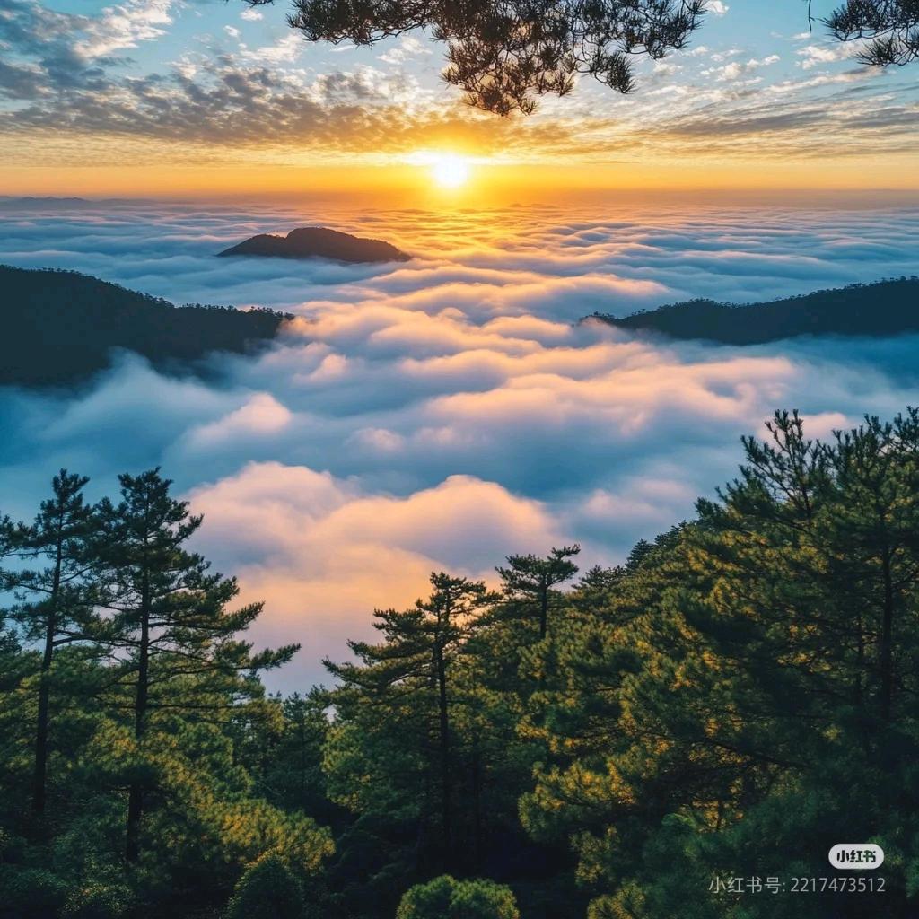 年华深处草听风