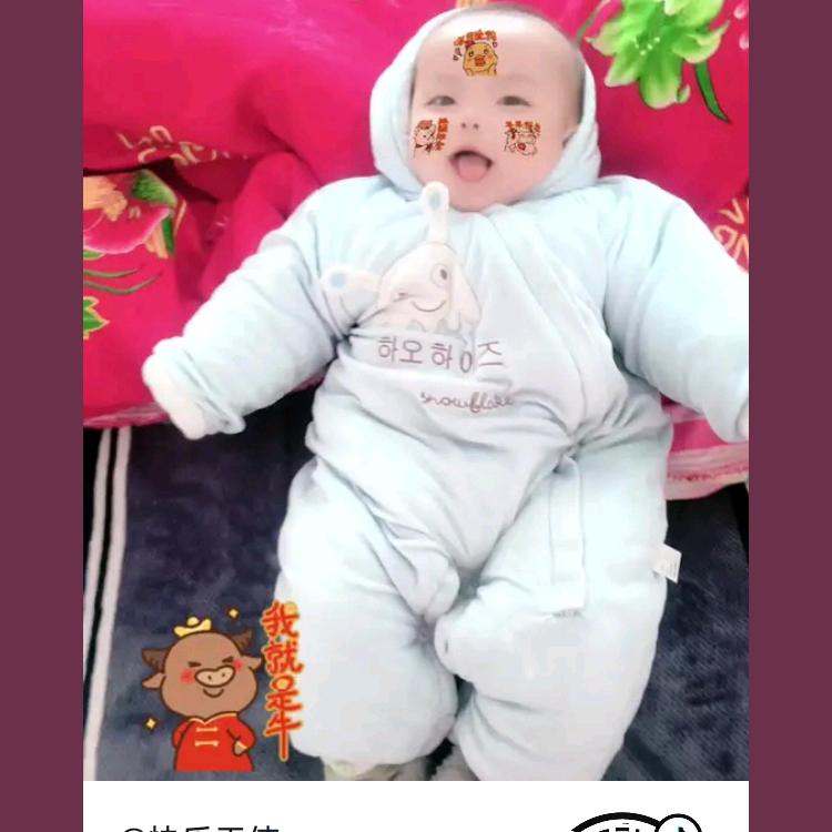 王总白大全一龙