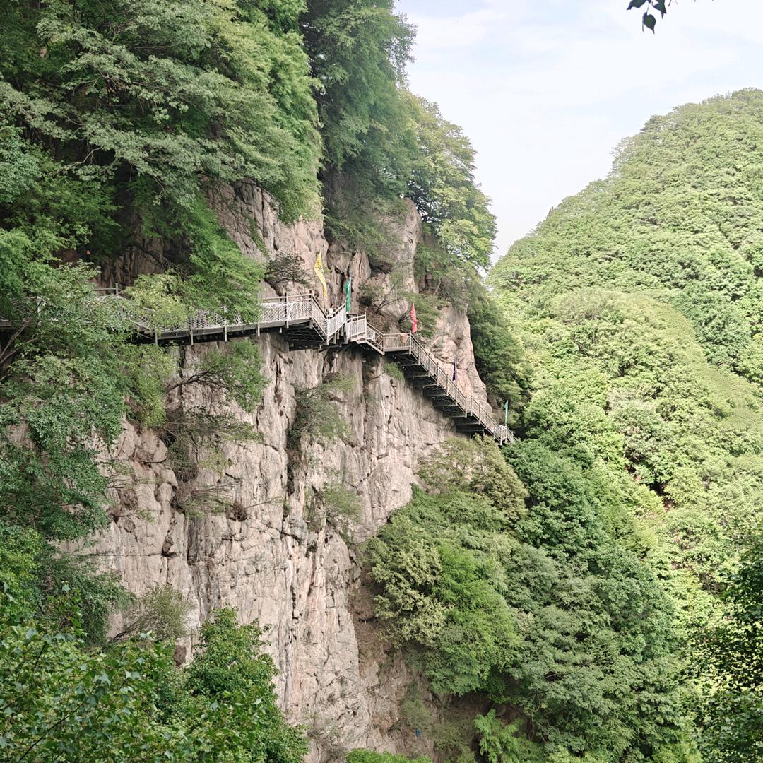 向荣
