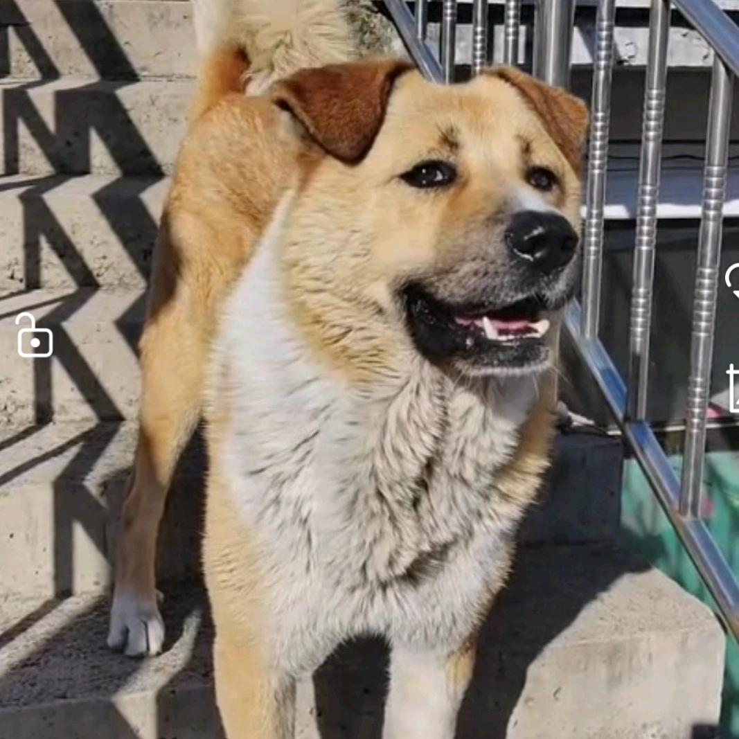 【南乔•北乔】