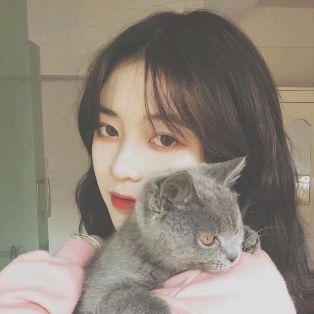蓝猫🍚