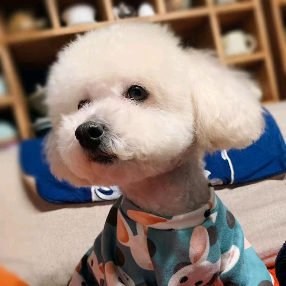 陶子✨