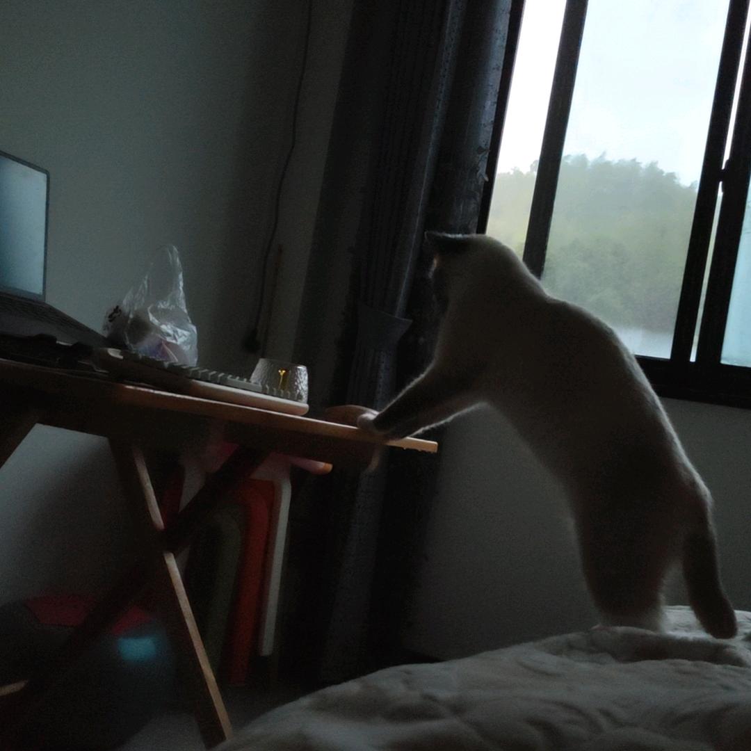 义亭古天乐