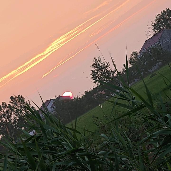 ℒᎭℯ奶茶💕⁵²ºLi