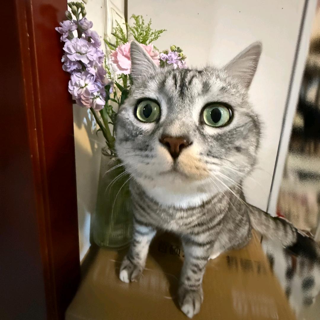 我吃饭的时候也困