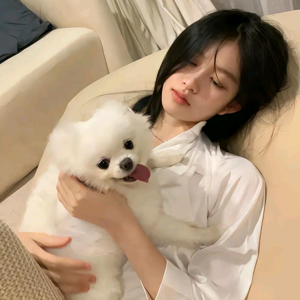 小毛明星切片