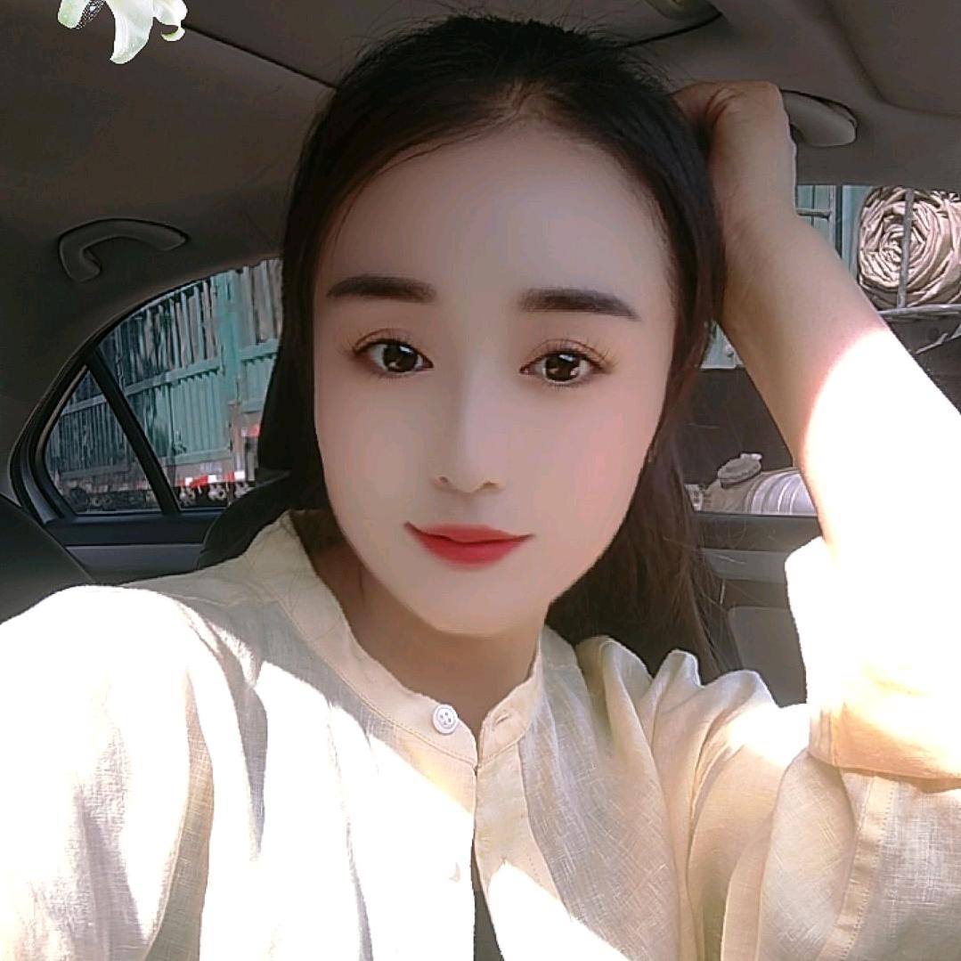 九顶山科三考场模拟练车《李教练》