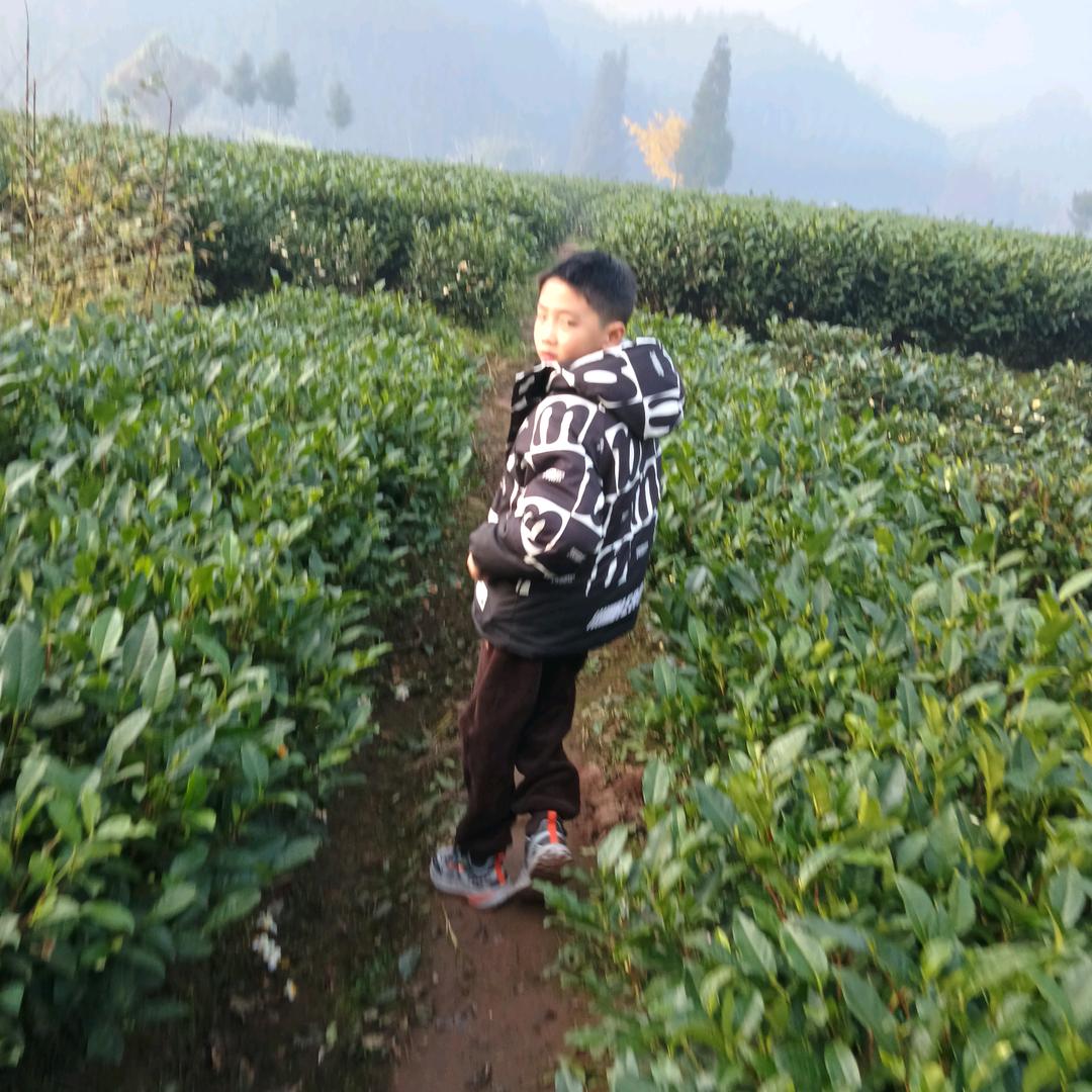 @萍姐一家人