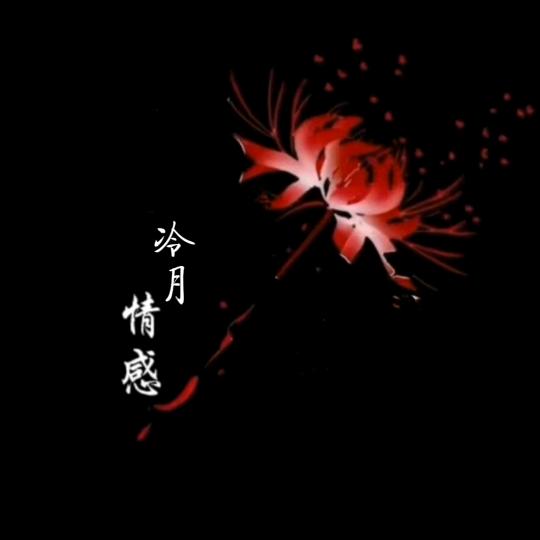 冷月情感