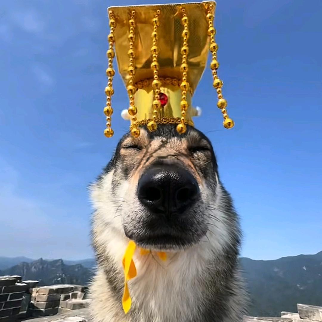 壹佰（新人主播）