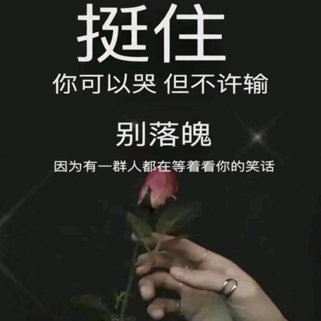 我在人间凑数的那些事🐾🐾🐾🐾🐾