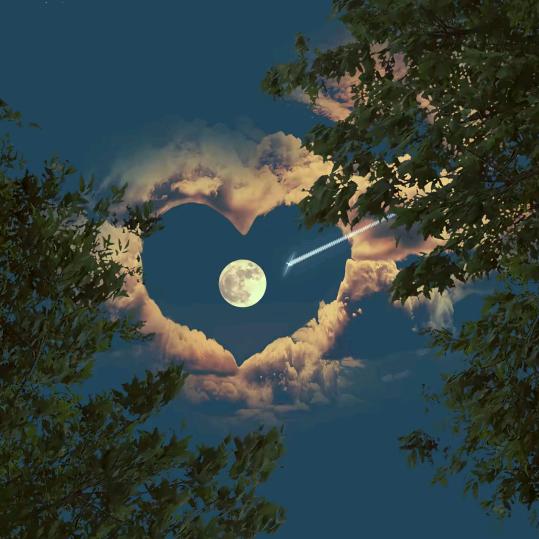 ღ᭄💞香烟到头终是灰💕