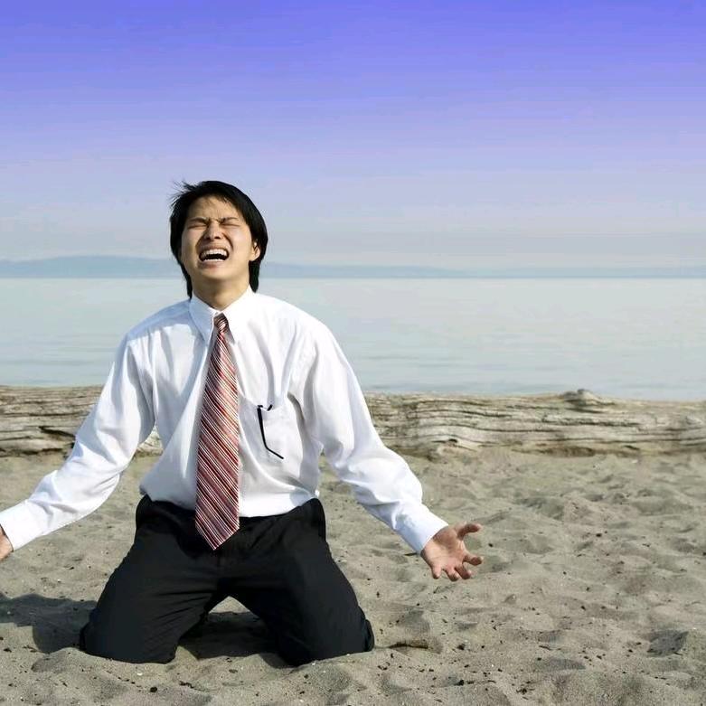 素心严选