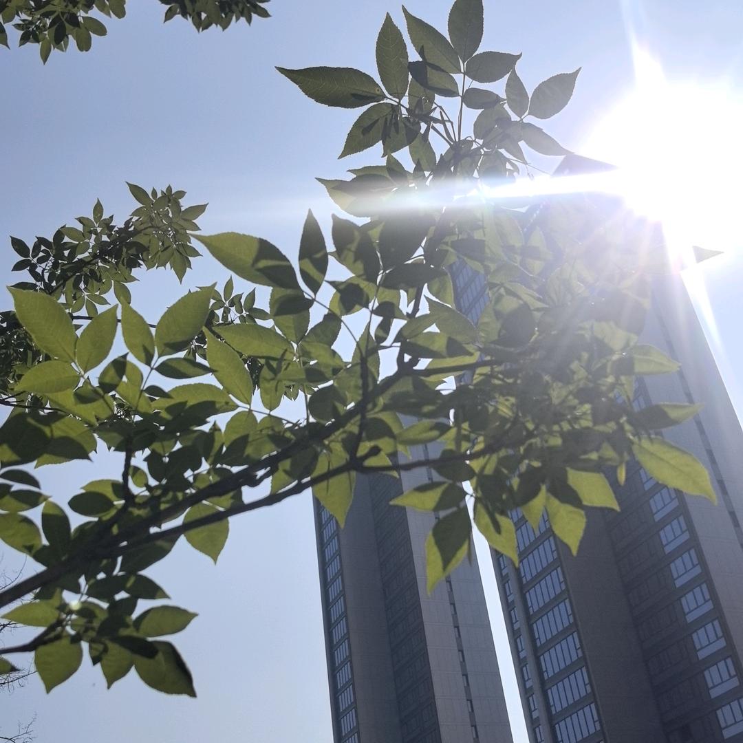 体北金茂府郝海婷