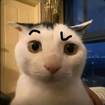 。。。。。。。