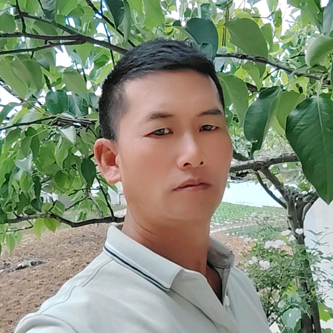看淡一切