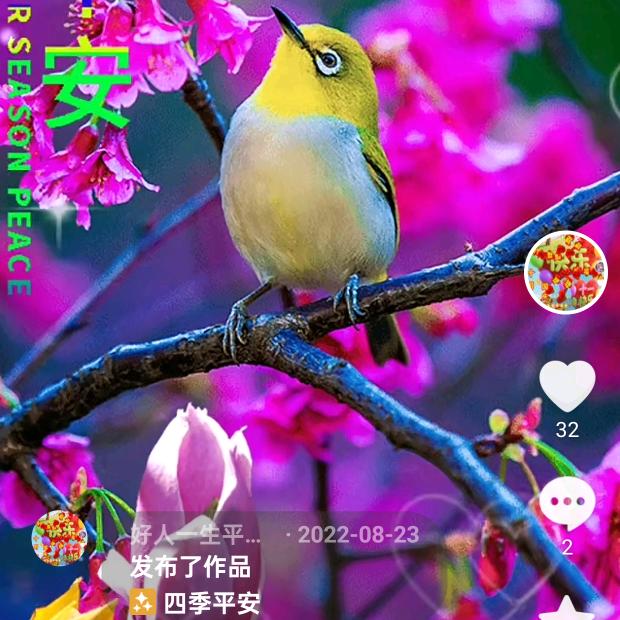好人一生平安🍓🍇🍒🍎🍏🌽