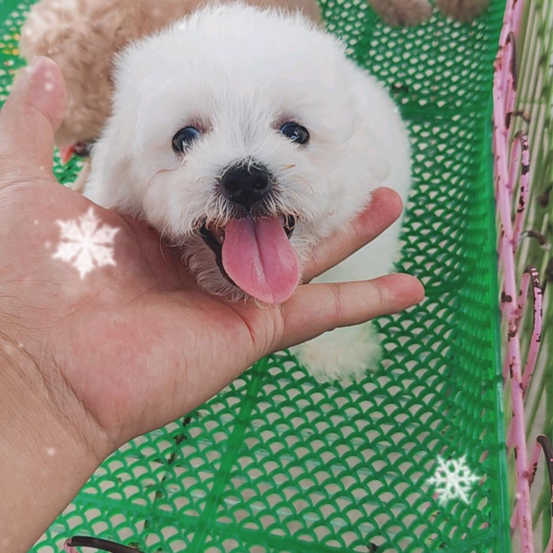 真然创意生活坊