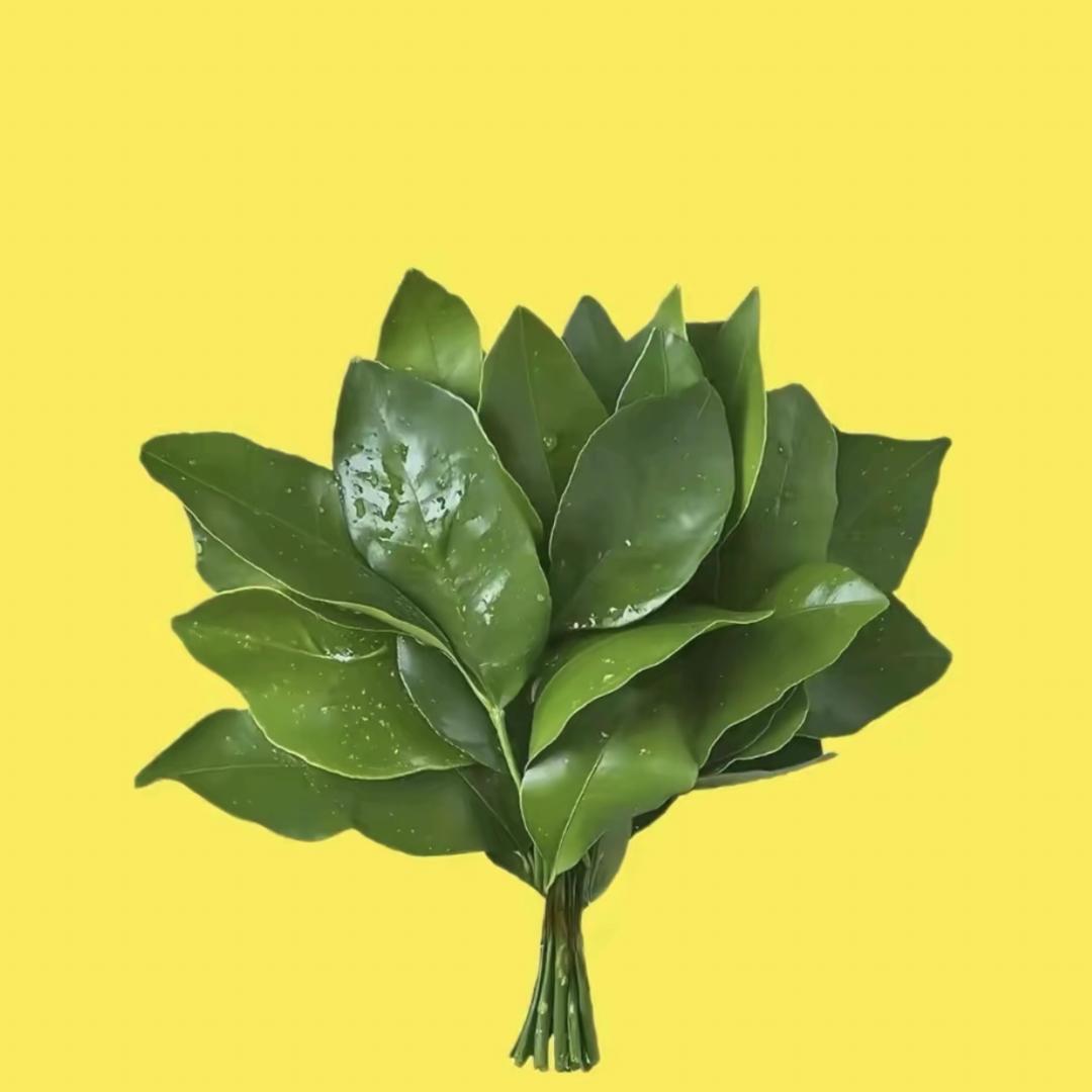 冰郑可乐