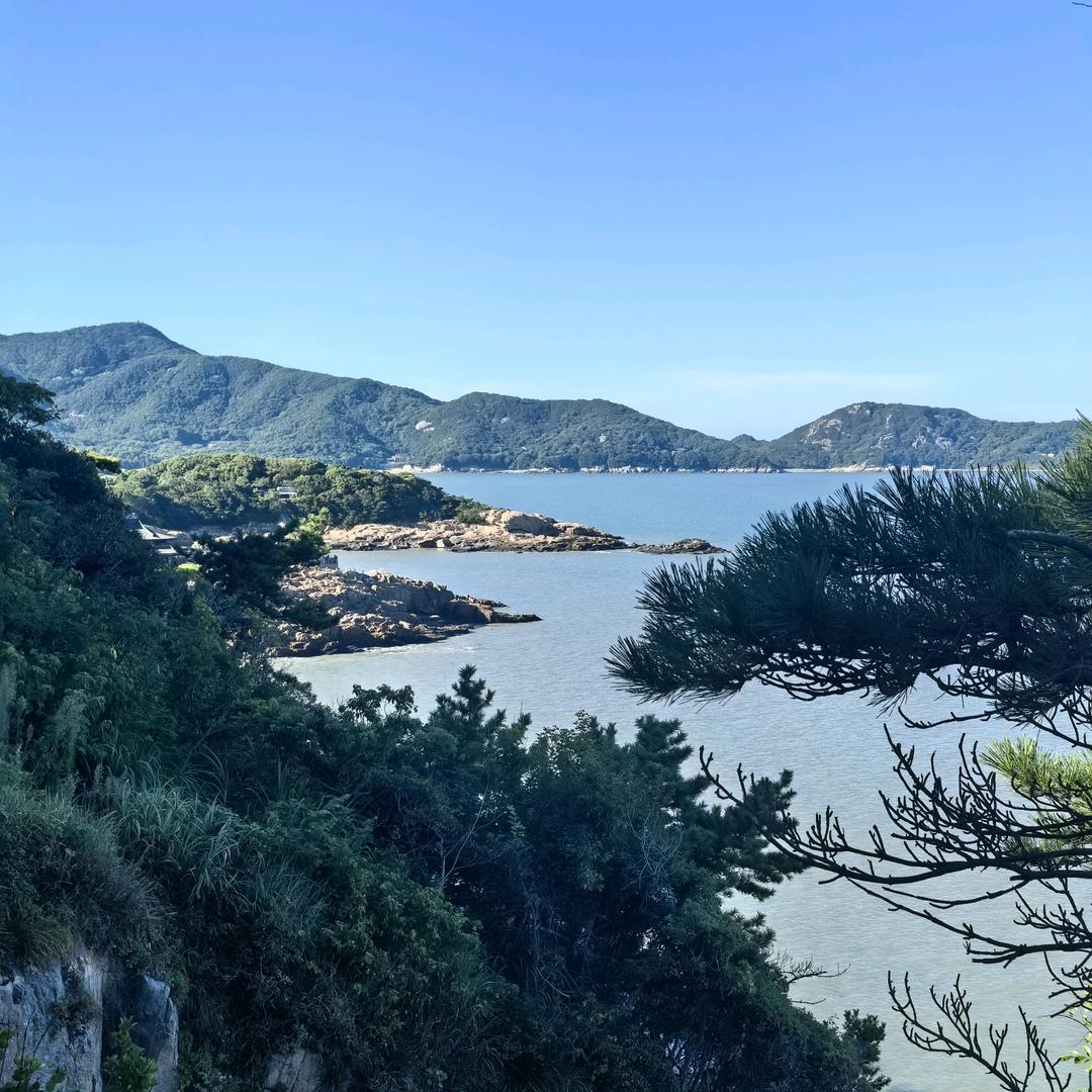 是柯柯吖