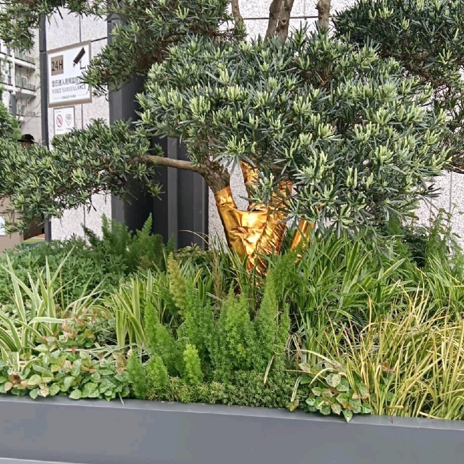 寻