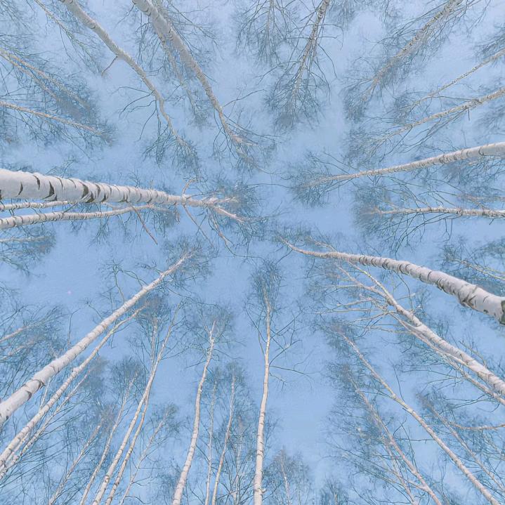 悠星