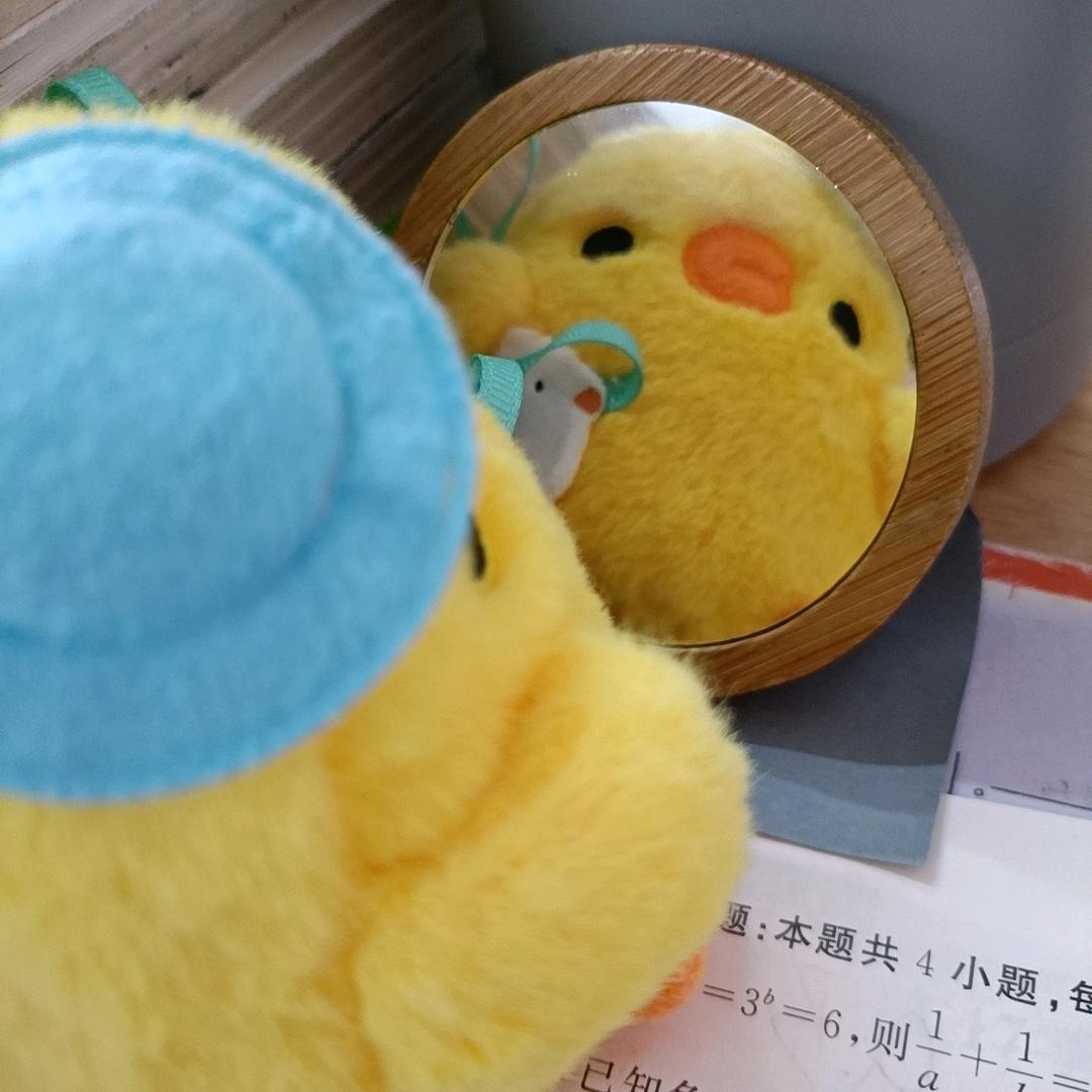 花果山纯情大母猴