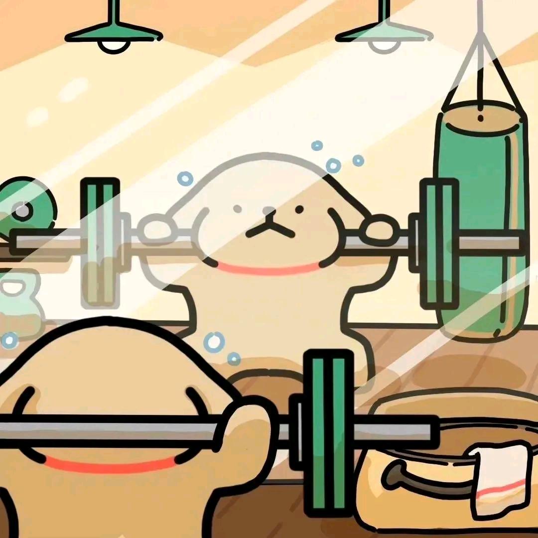 bk鲨鱼谱.