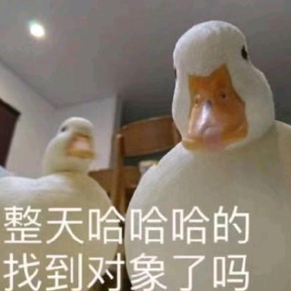 青山耶